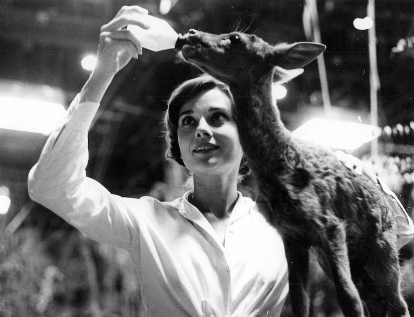 Audrey Hepburn, Deer, Unusual Celebrity Pets